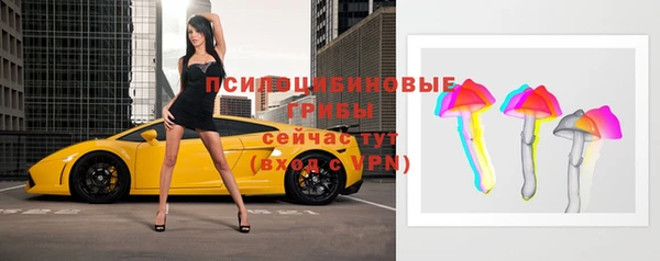 spice Баксан